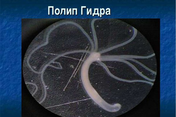 Что такое кракен шоп