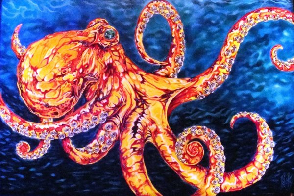 Kraken ссылка krakens13 at